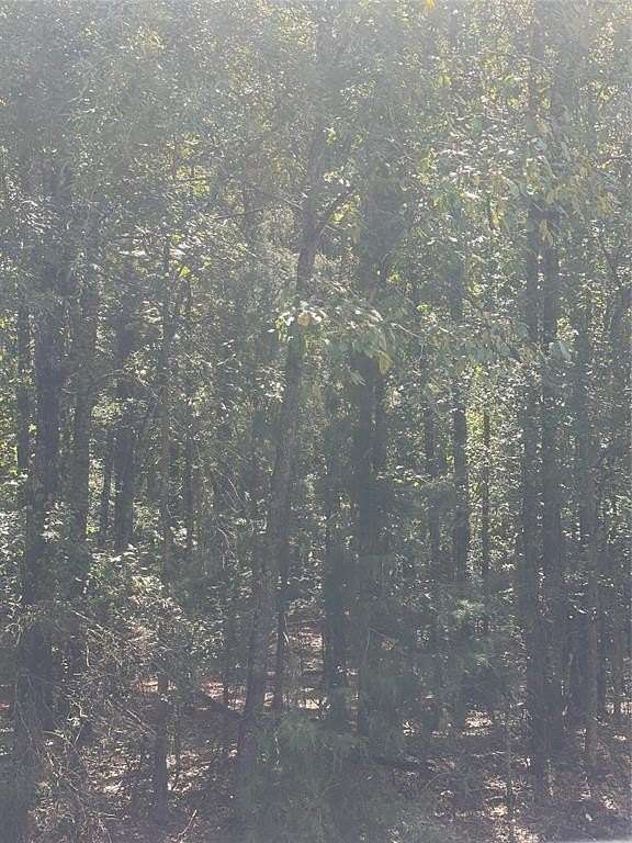 5 Acres of Residential Land for Sale in Oil City, Louisiana