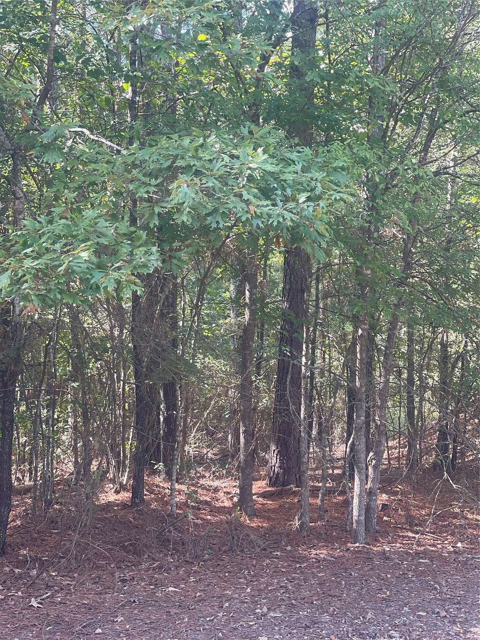 5 Acres of Residential Land for Sale in Oil City, Louisiana
