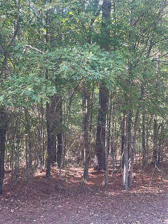 5 Acres of Residential Land for Sale in Oil City, Louisiana