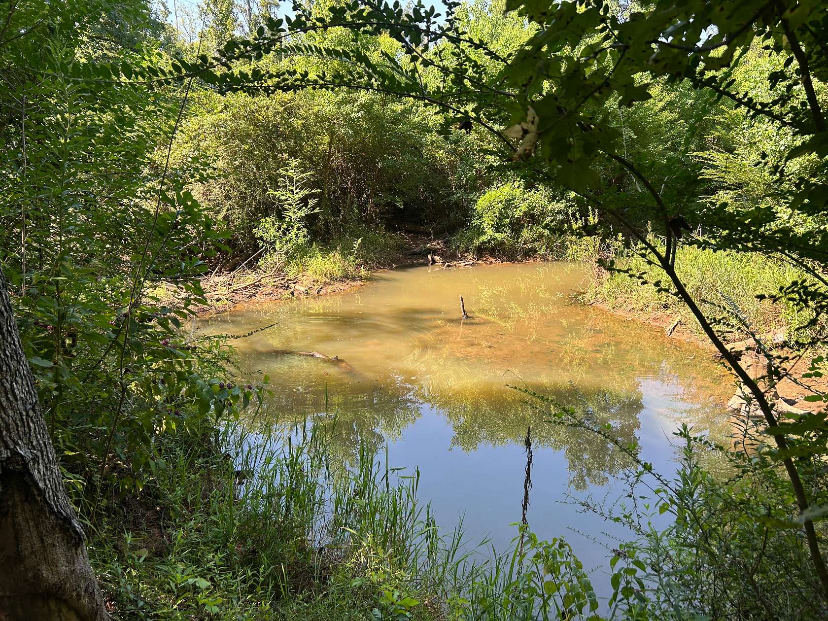 87 Acres of Land for Sale in Alto, Texas