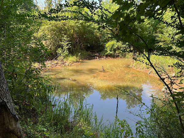 87 Acres of Land for Sale in Alto, Texas