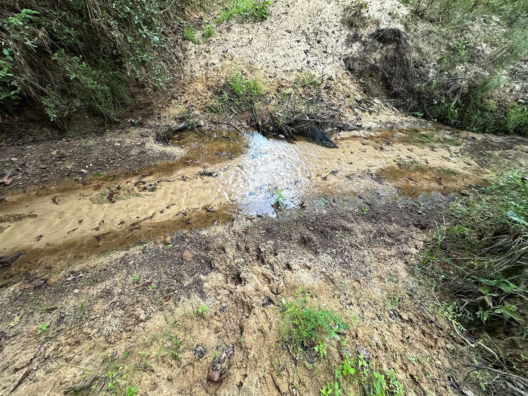 80 Acres of Land for Sale in Alto, Texas