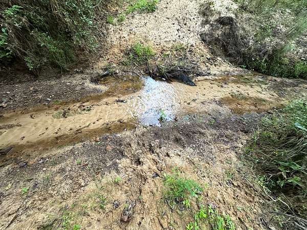 80 Acres of Land for Sale in Alto, Texas