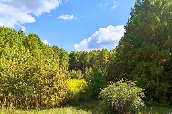 1 Acre of Residential Land for Sale in Middlesex, North Carolina