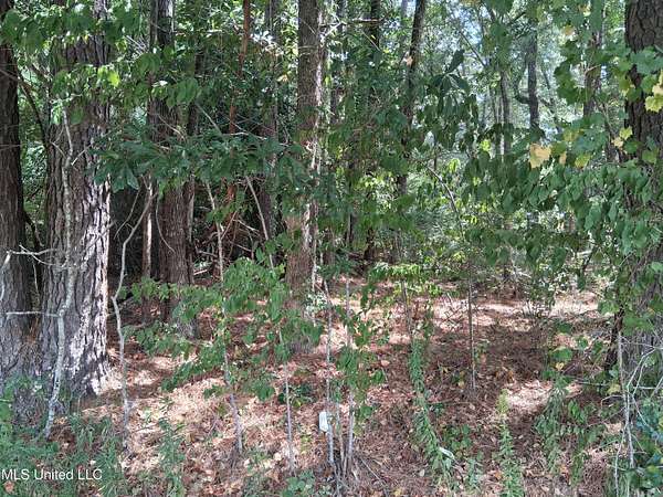 0.22 Acres of Residential Land for Sale in Natchez, Mississippi