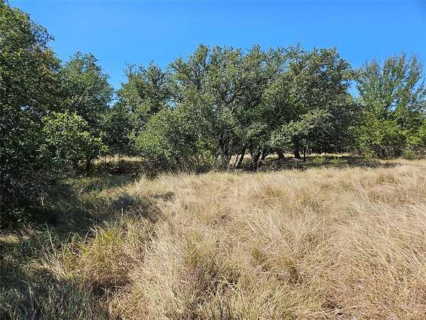 5 Acres of Residential Land for Sale in Bluff Dale, Texas