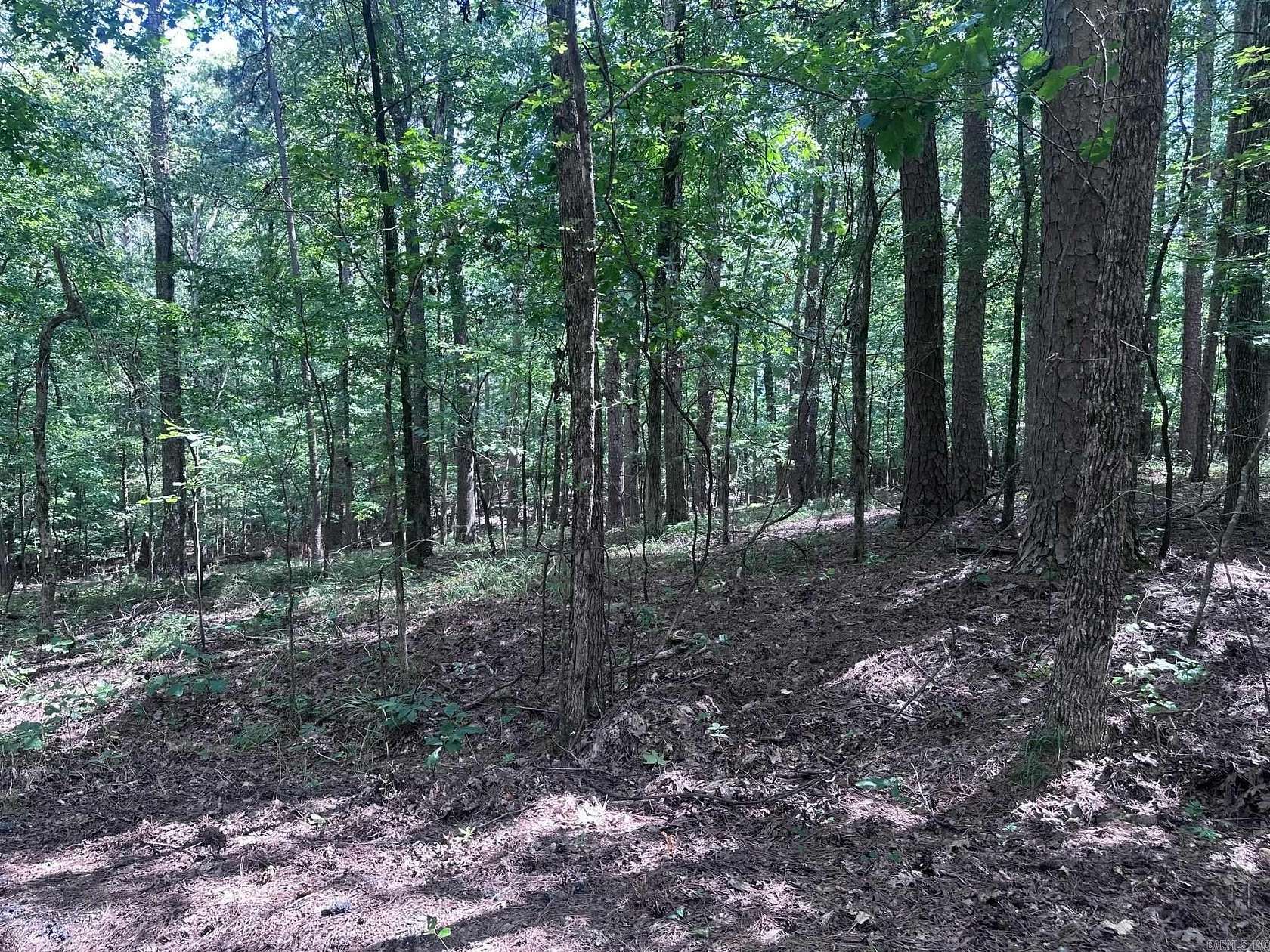 0.26 Acres of Residential Land for Sale in Hot Springs Village, Arkansas