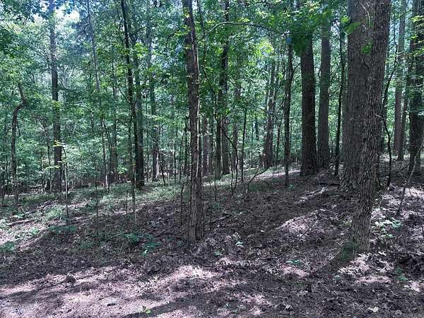 0.26 Acres of Residential Land for Sale in Hot Springs Village, Arkansas