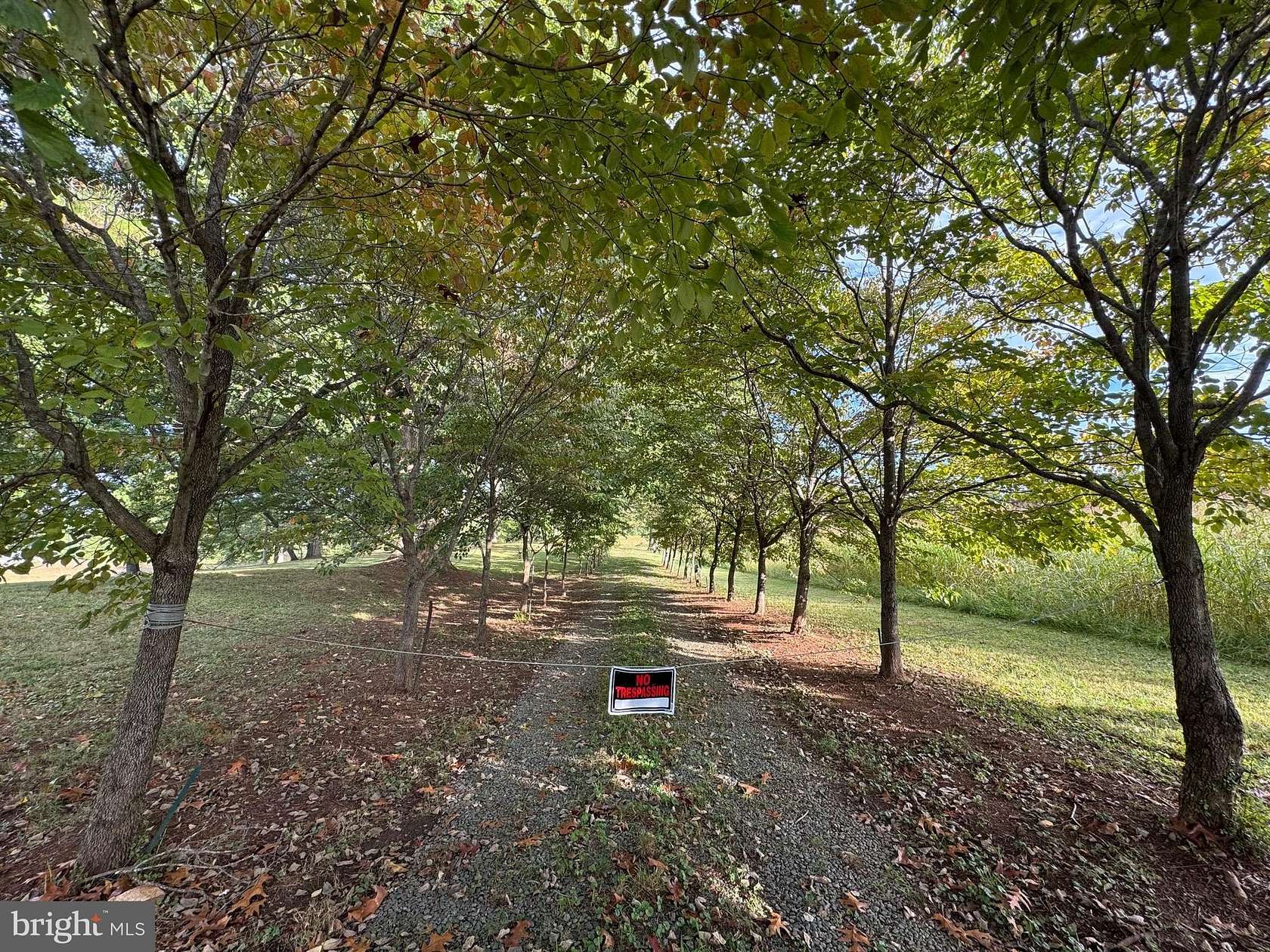 19.7 Acres of Land for Sale in Bumpass, Virginia