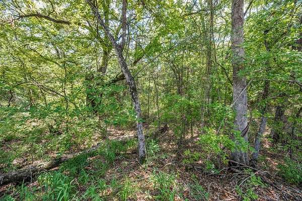 7.36 Acres of Land for Sale in Whitesboro, Texas