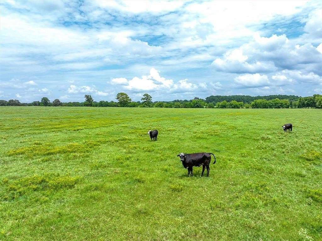 13.6 Acres of Land for Sale in Jacksonville, Texas