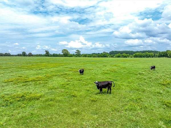 13.6 Acres of Land for Sale in Jacksonville, Texas