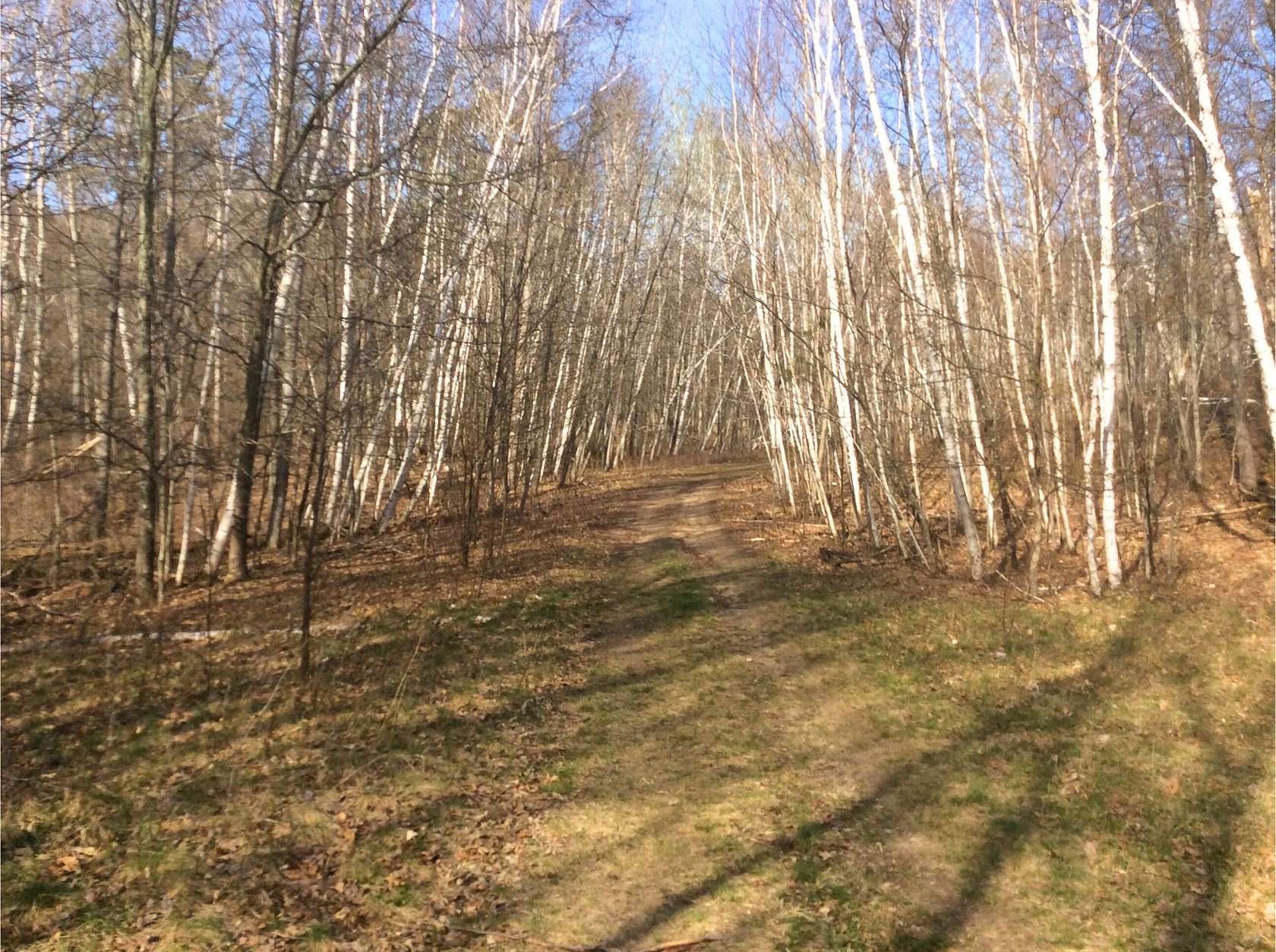 1.28 Acres of Residential Land for Sale in Breezy Point, Minnesota