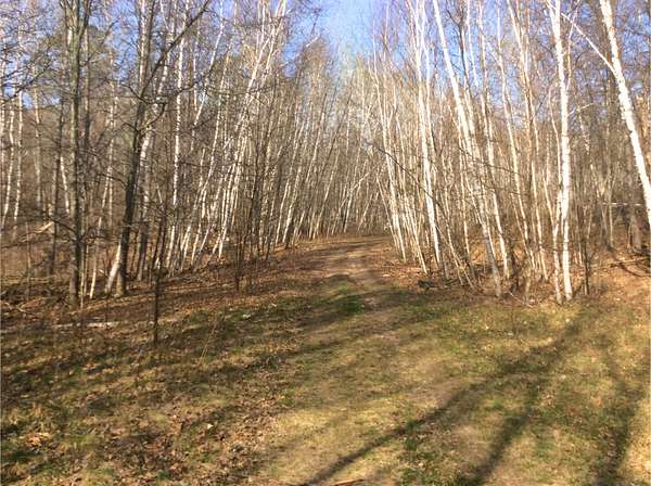 1.28 Acres of Residential Land for Sale in Breezy Point, Minnesota