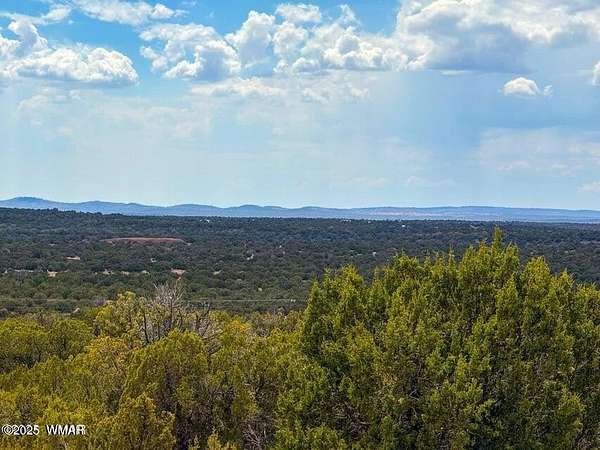 5 Acres of Residential Land for Sale in Show Low, Arizona