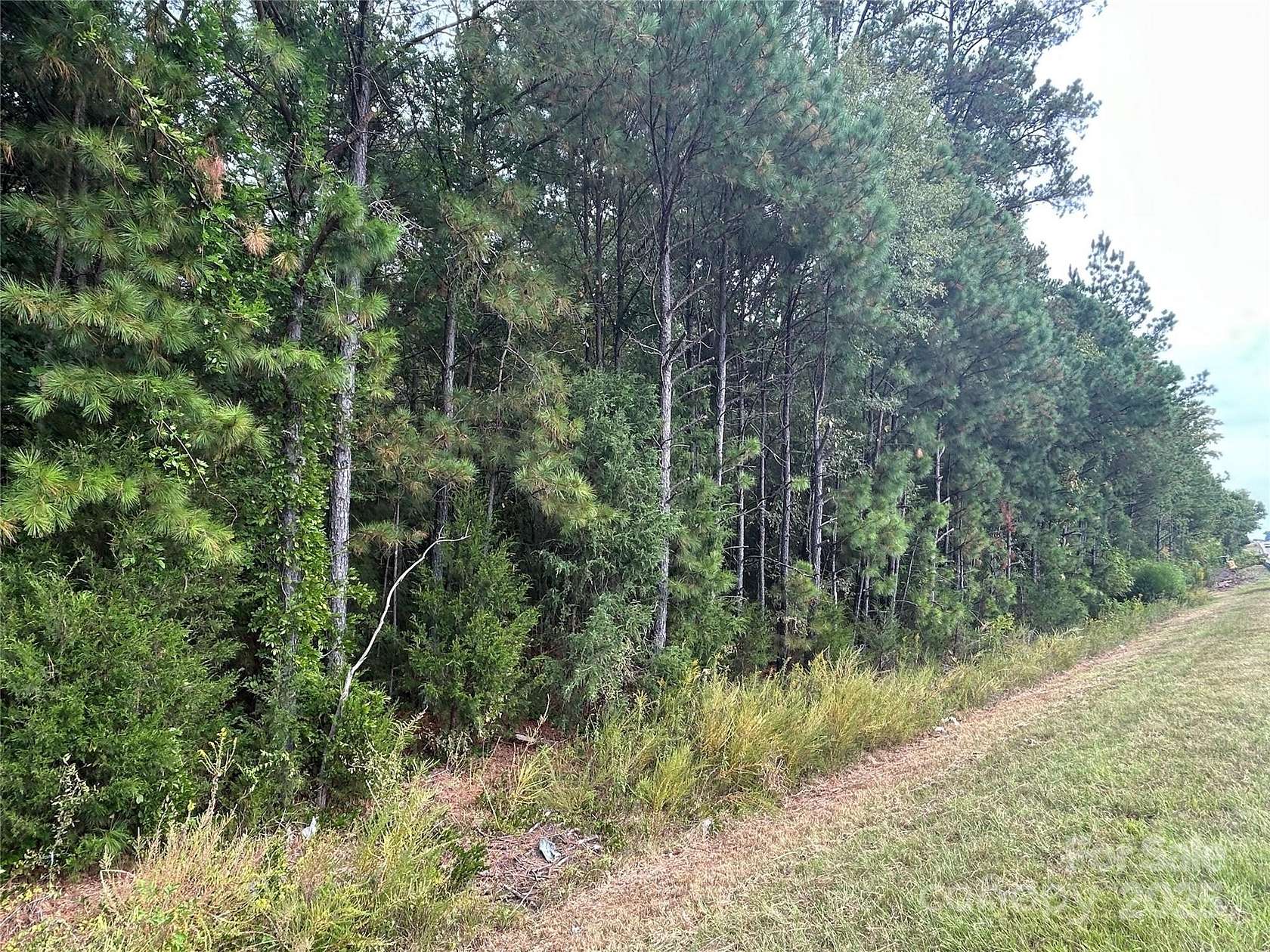 4.3 Acres of Land for Sale in Chester, South Carolina