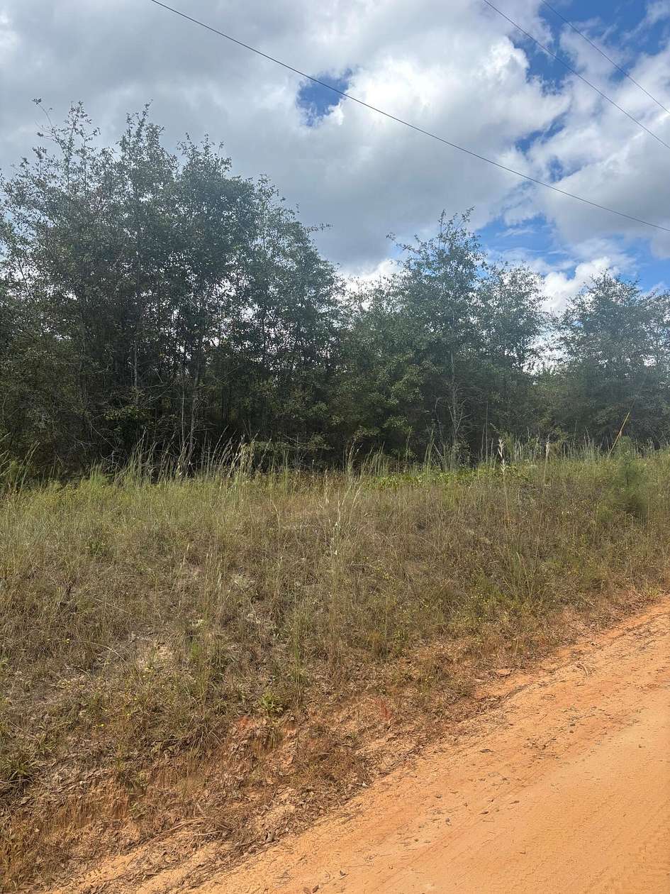 Residential Land for Sale in Gibson, Georgia