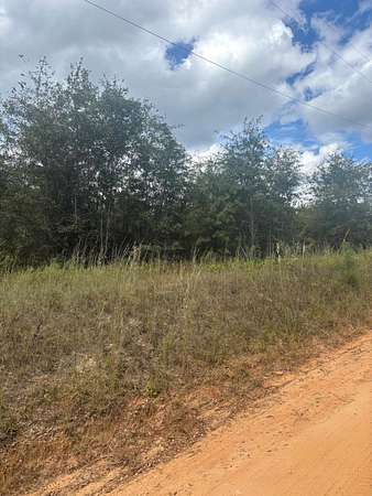 Residential Land for Sale in Gibson, Georgia