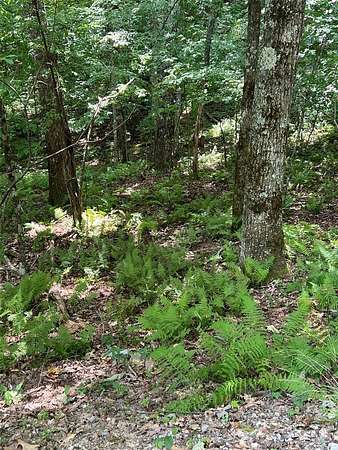 4.32 Acres of Residential Land for Sale in Sapphire, North Carolina