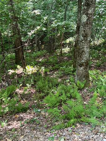 4.32 Acres of Residential Land for Sale in Sapphire, North Carolina