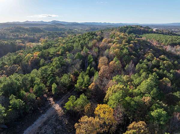 42.9 Acres of Land for Sale in Mena, Arkansas