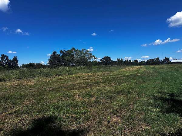 10 Acres of Residential Land for Sale in Ben Wheeler, Texas