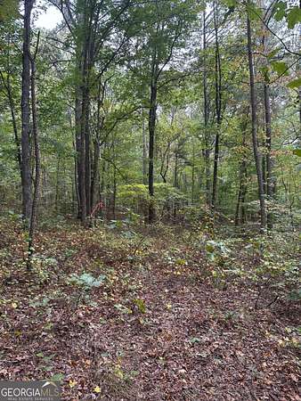 2.4 Acres of Land for Sale in Waleska, Georgia