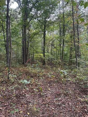 2.45 Acres of Residential Land for Sale in Waleska, Georgia