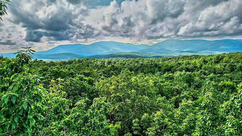 0.48 Acres of Residential Land for Sale in Ellijay, Georgia