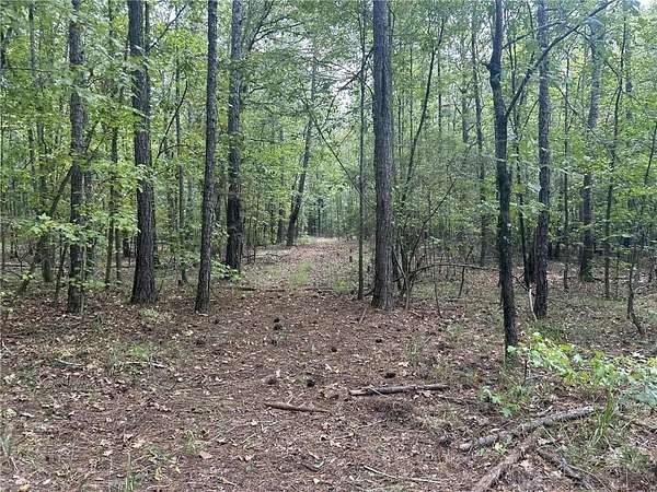 47 Acres of Recreational Land for Sale in Phenix City, Alabama