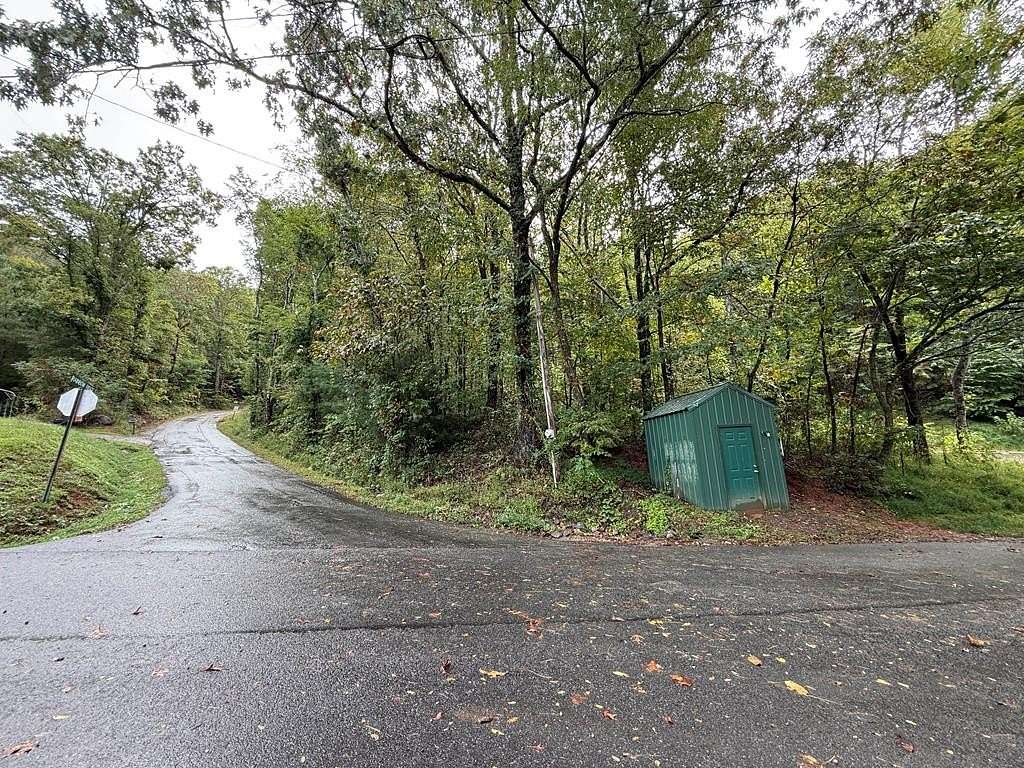 1 Acre of Residential Land for Sale in Hiawassee, Georgia