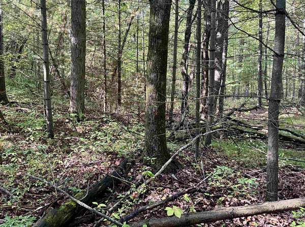0.52 Acres of Residential Land for Sale in Harrison, Michigan
