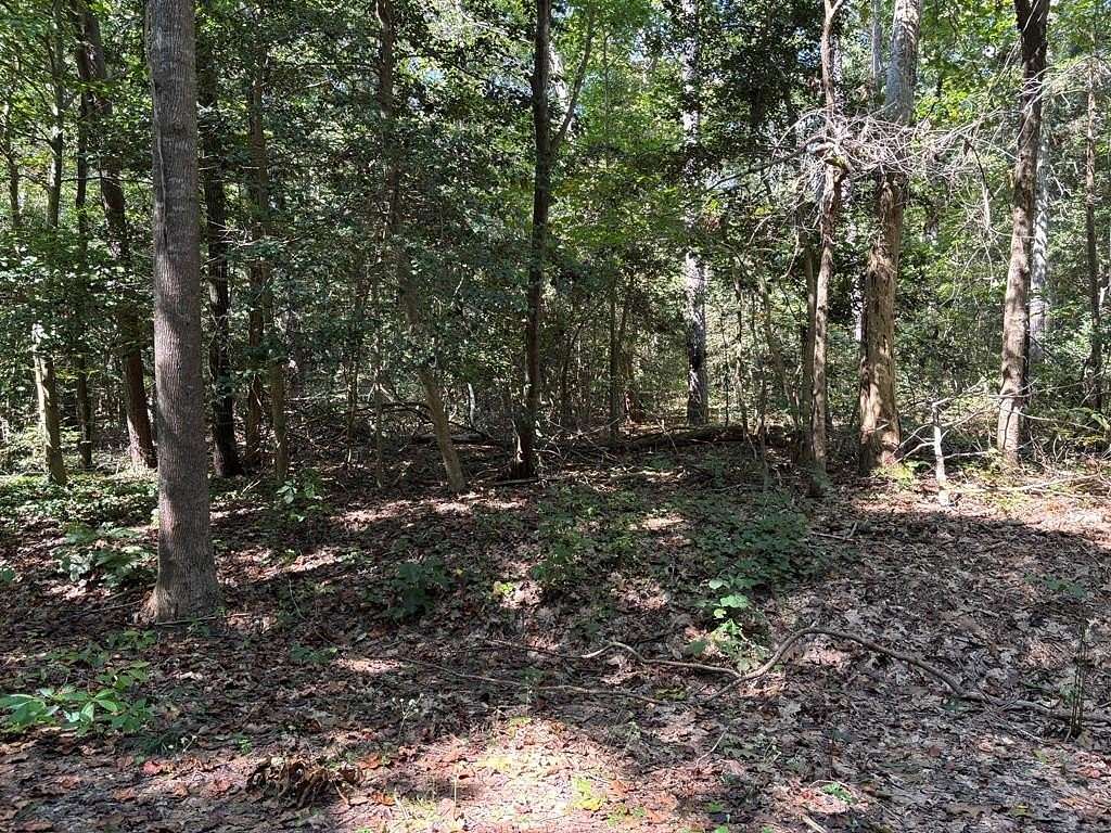 0.76 Acres of Residential Land for Sale in Lancaster, Virginia