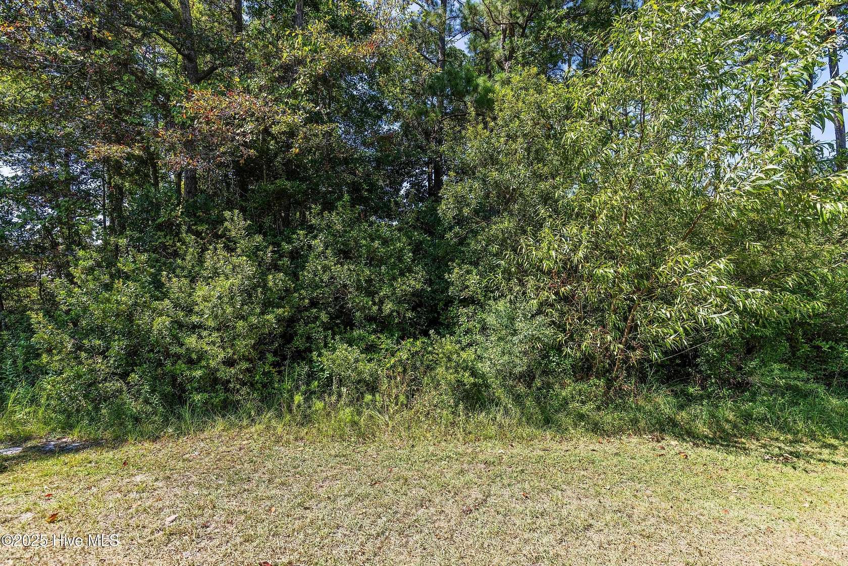0.46 Acres of Land for Sale in Supply, North Carolina