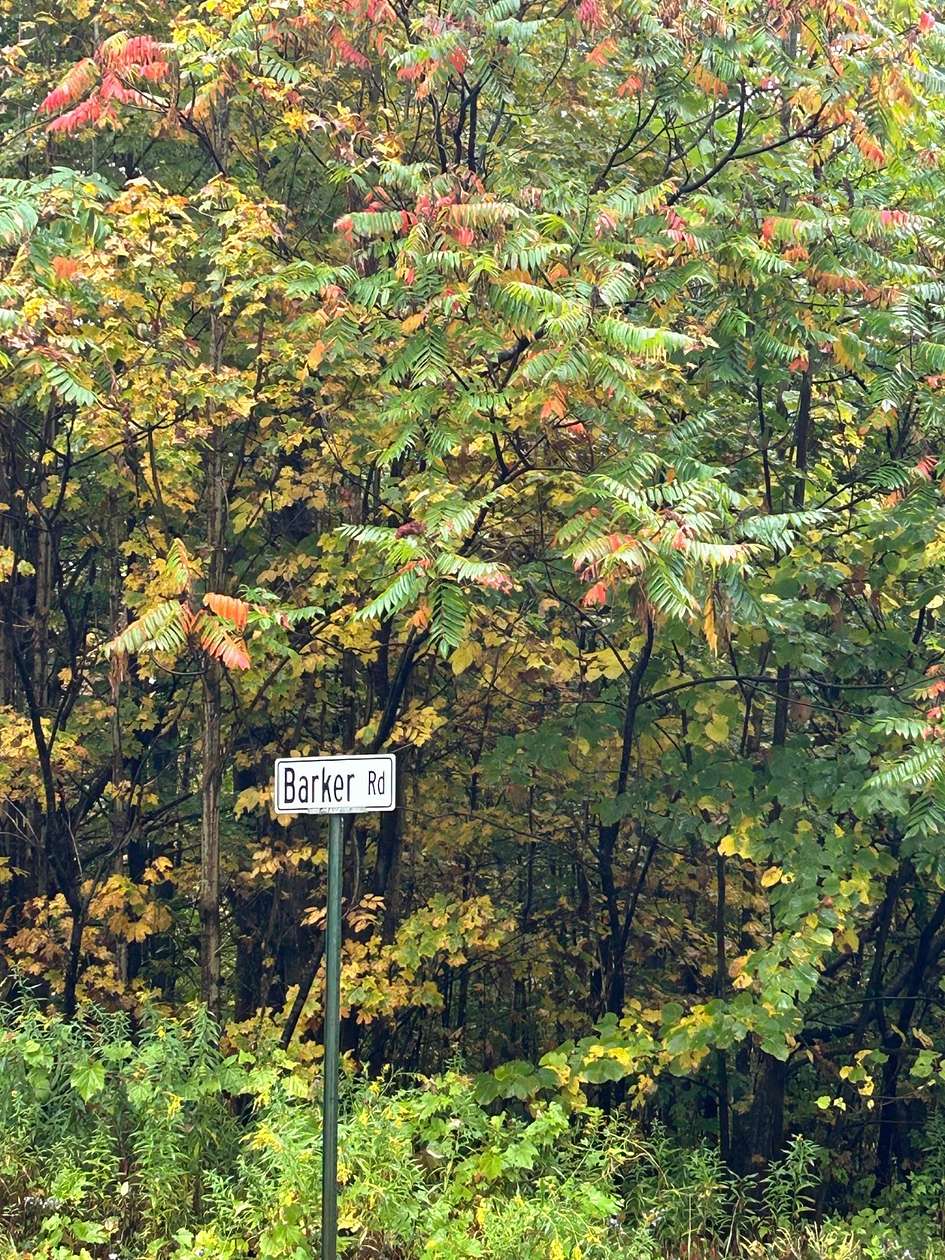 28 Acres of Recreational Land for Sale in Dolgeville, New York