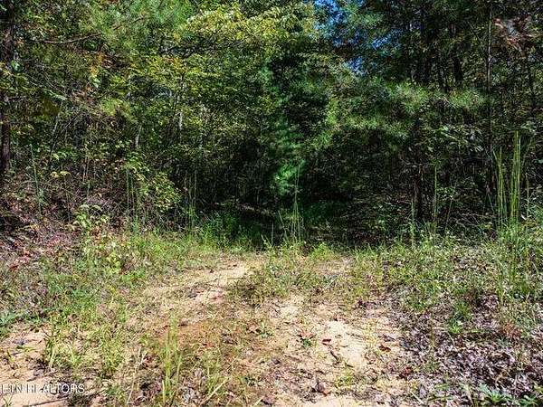 61.6 Acres of Recreational Land for Sale in Jamestown, Tennessee