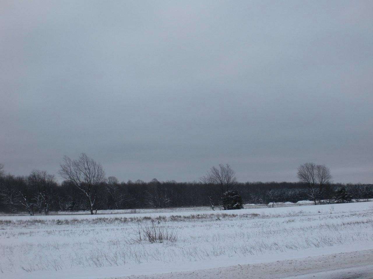 24 Acres of Commercial Land for Sale in Elmira, Michigan