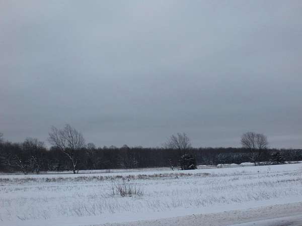 24 Acres of Commercial Land for Sale in Elmira, Michigan