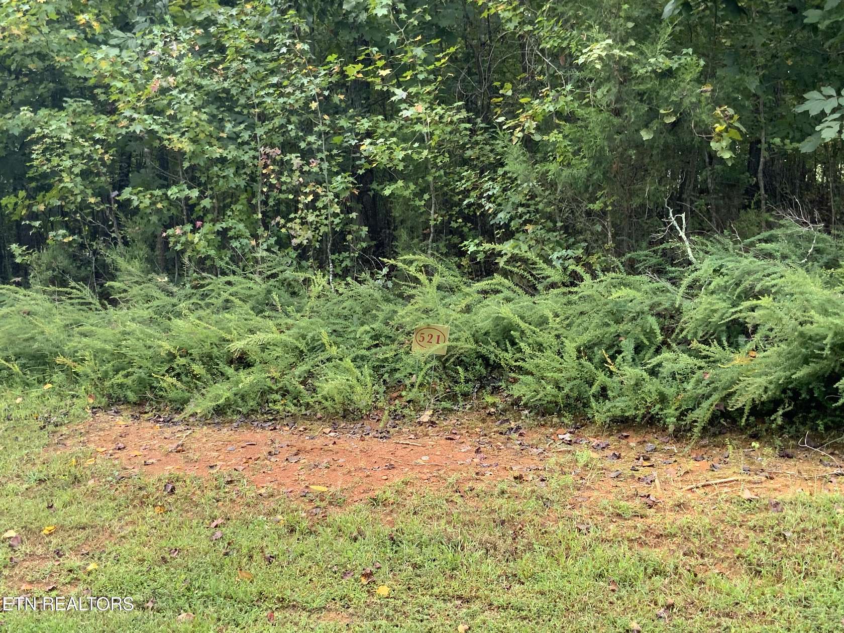 0.8 Acres of Residential Land for Sale in Rockwood, Tennessee