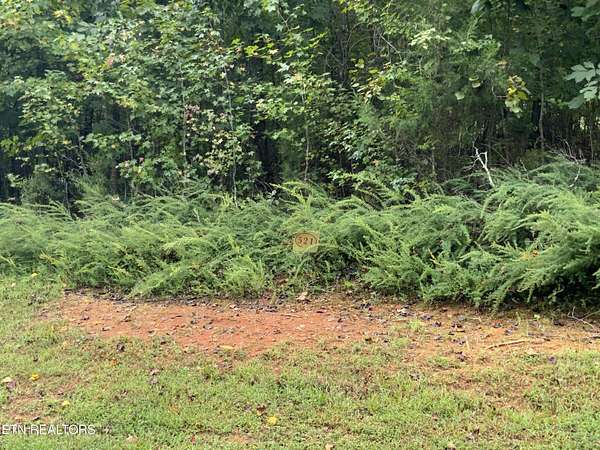 0.8 Acres of Residential Land for Sale in Rockwood, Tennessee