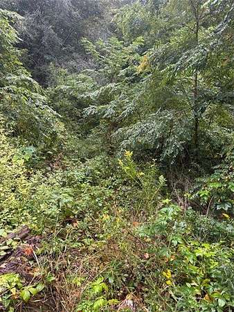 0.25 Acres of Residential Land for Sale in Lapeer, Michigan