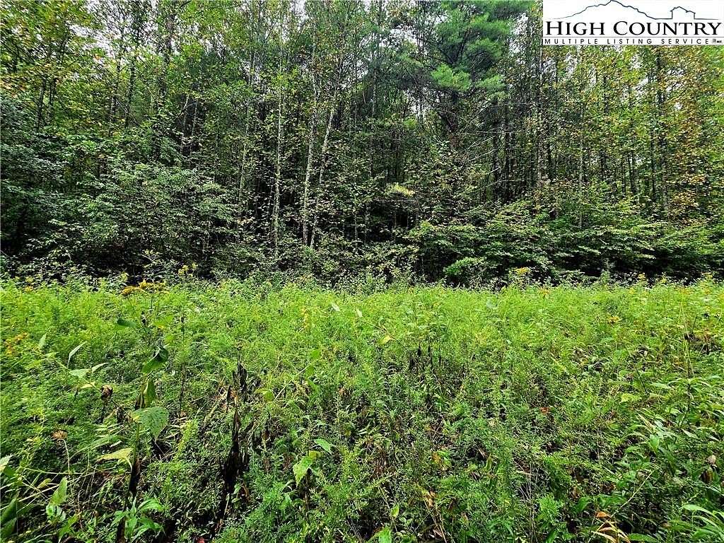 16.8 Acres of Recreational Land for Sale in Millers Creek, North Carolina
