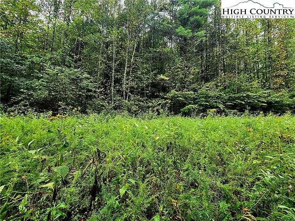 16.8 Acres of Recreational Land for Sale in Millers Creek, North Carolina