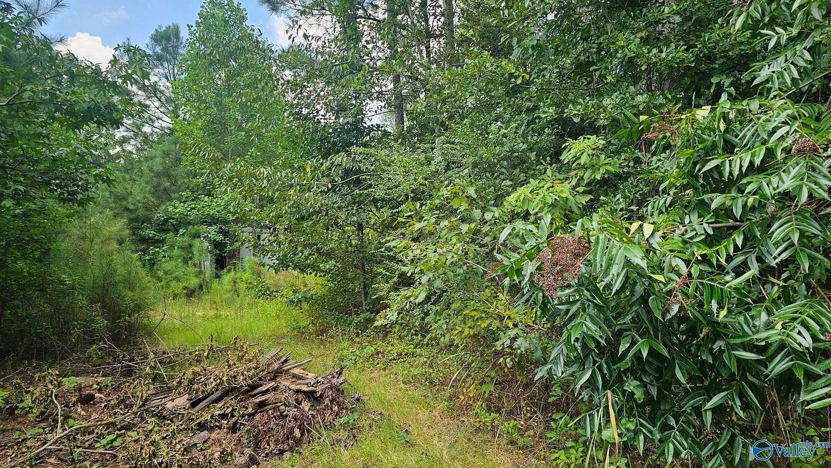 8.5 Acres of Land for Sale in Attalla, Alabama