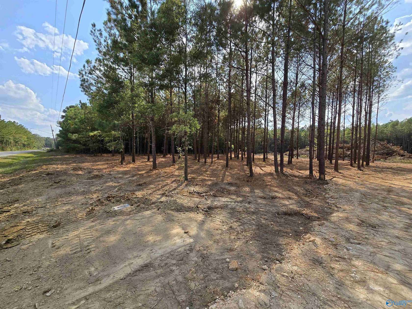 5.88 Acres of Land for Sale in Attalla, Alabama