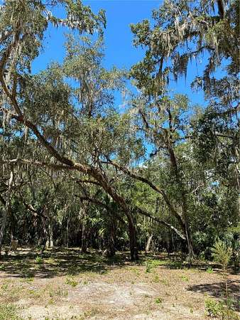 1.2 Acres of Land for Sale in Crystal River, Florida