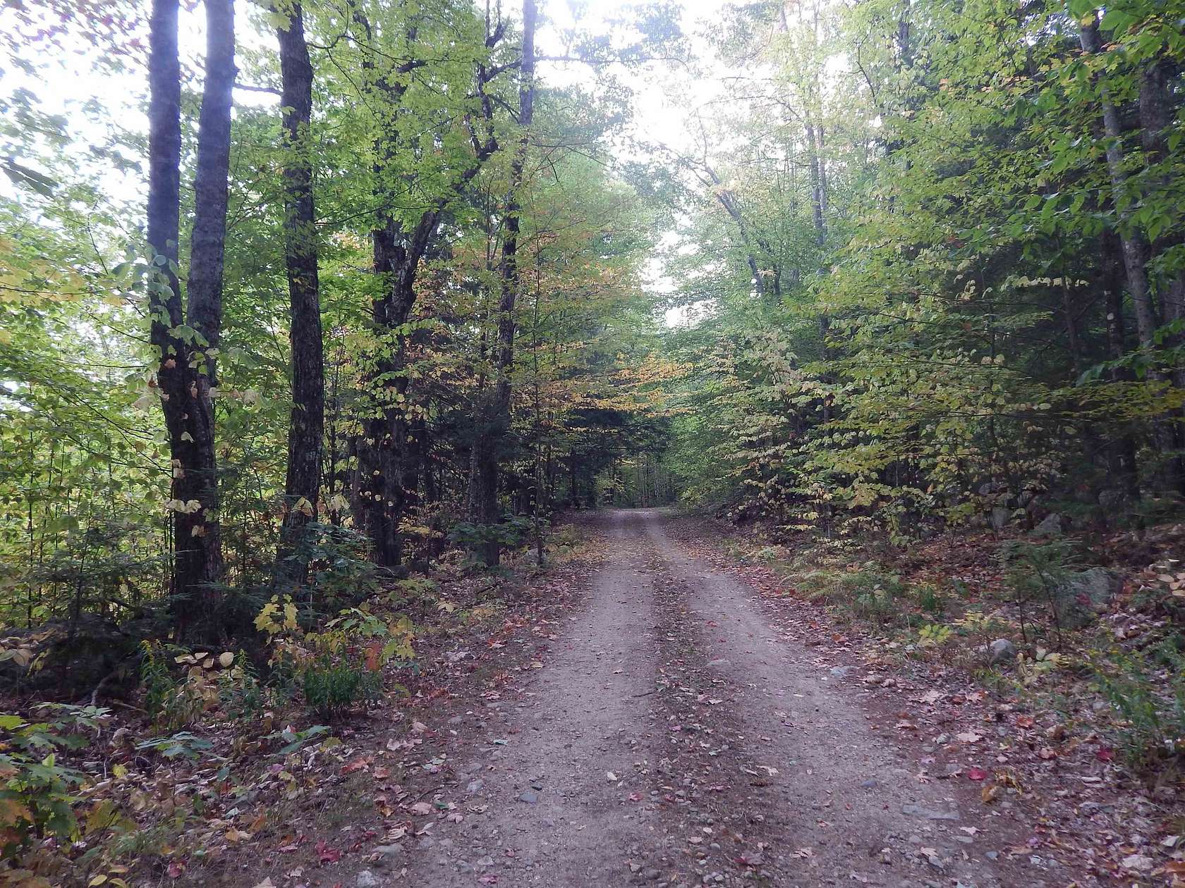 67 Acres of Recreational Land for Sale in Brownfield, Maine