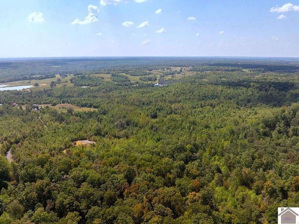74 Acres of Recreational Land for Sale in New Concord, Kentucky
