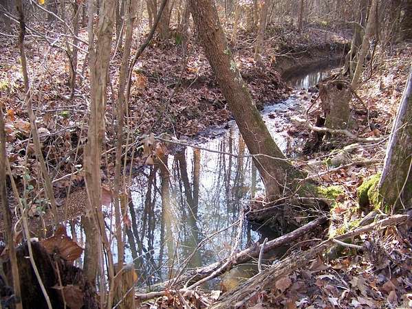 27.8 Acres of Recreational Land for Sale in Maynard, Arkansas