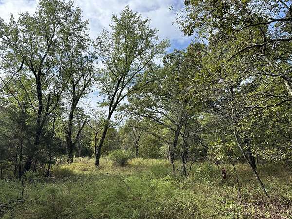 7.5 Acres of Residential Land for Sale in Fremont, Missouri